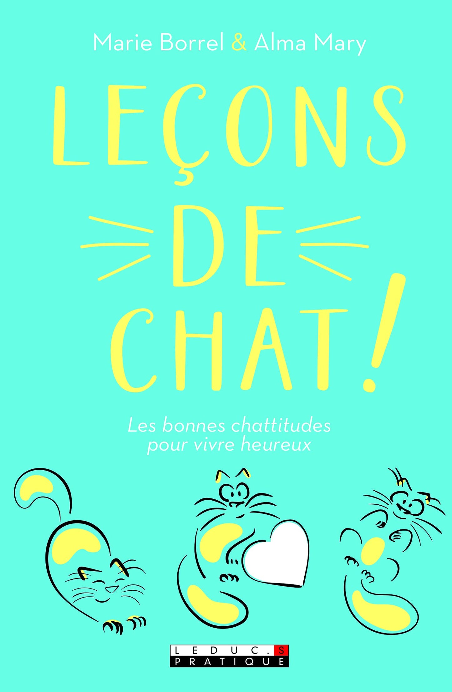 Leçons de chat: Les bonnes chattitudes - Larousse | Livre