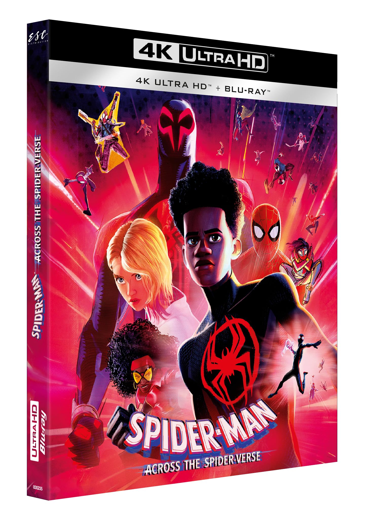 Spider-Man Across the Spider-Verse DVD Sony Pictures Animation