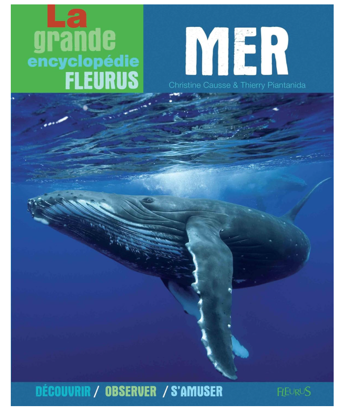 La Mer - Livre Relié Neuf (15 mai 2003) | EAN 9782215100164